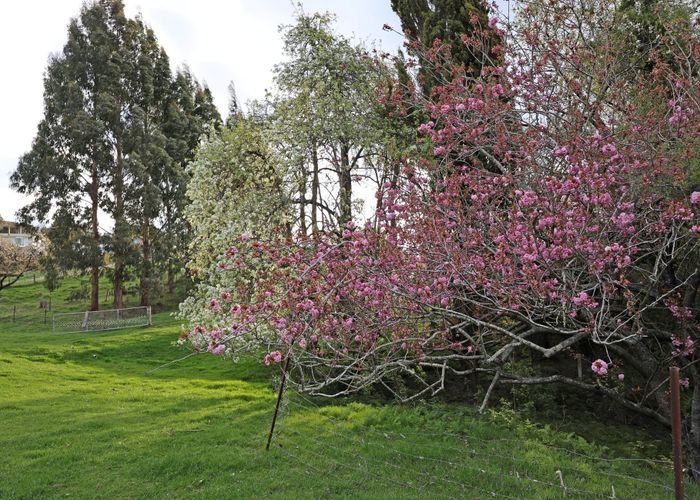  at Lot 1 Solway Street, Oamaru, Waitaki, Otago