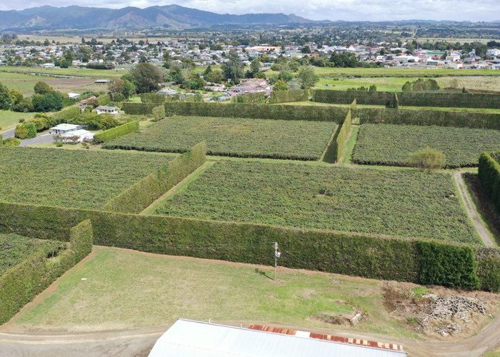  at 170 State Highway 35, Tirohanga, Opotiki, Bay Of Plenty