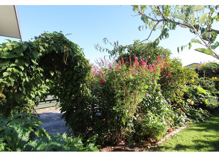  at 21 Shirtliff Street, Riversdale, Blenheim