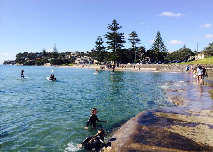  at 16C Hastings Road, Mairangi Bay, North Shore City, Auckland