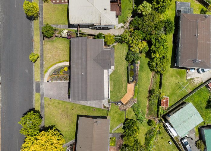  at 6 Glamis Avenue, Dinsdale, Hamilton