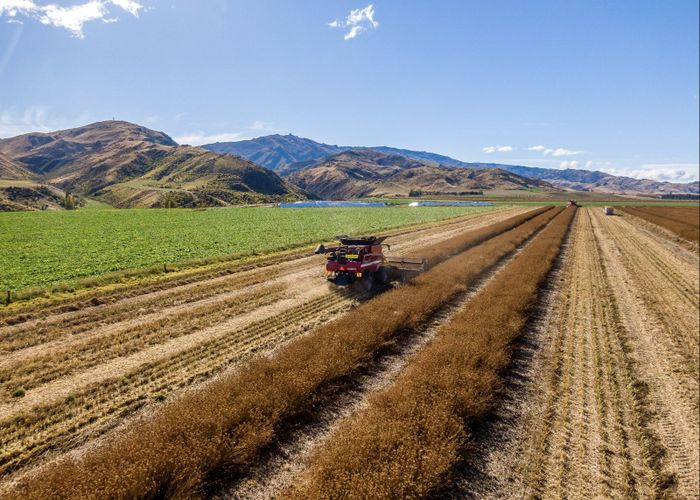  at Waikerikeri Valley Road, Alexandra, Central Otago, Otago