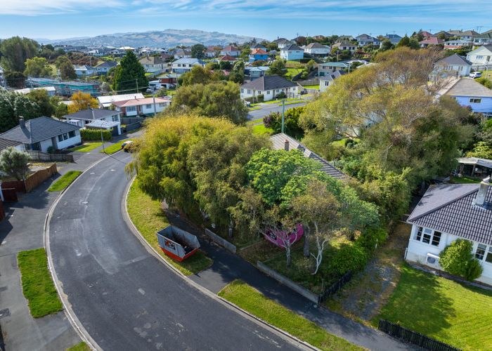  at 41 Dovecote Avenue, Corstorphine, Dunedin