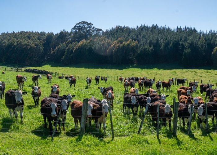 at Apirana Road, Horohoro, Rotorua, Bay Of Plenty