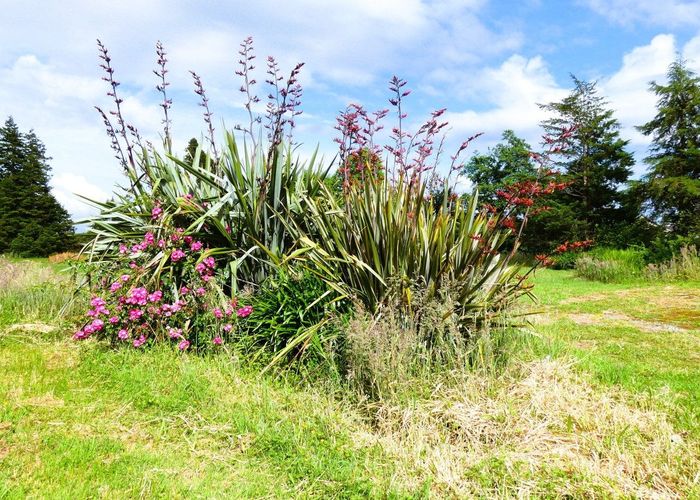  at 20 Stewart Street, Waimangaroa, Buller, West Coast