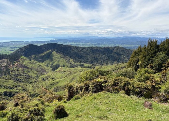  at 284 McCarthy Road, Opotiki, Opotiki, Bay Of Plenty