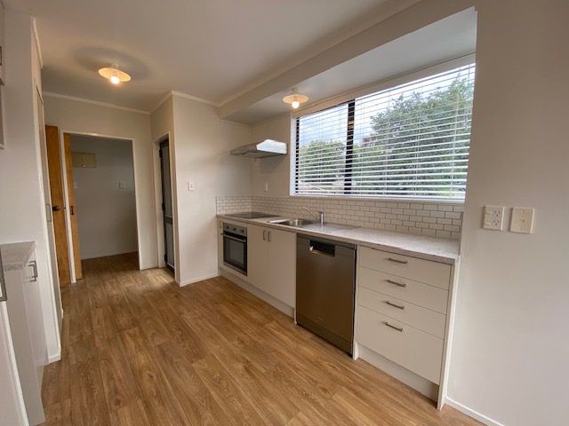  at 20 Kowhai Street, Hamilton Lake, Hamilton, Waikato