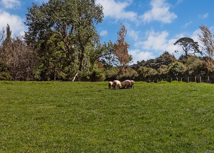  at 267 Union Road, Mauku, Pukekohe
