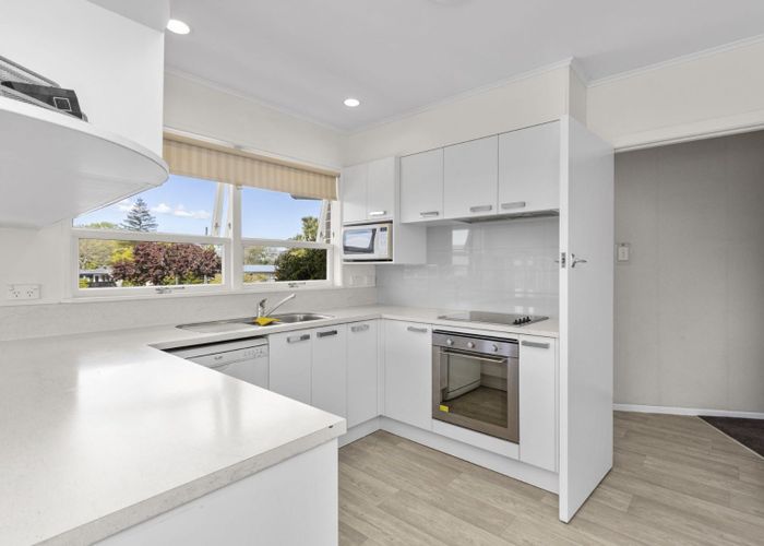  at 19 Donny Avenue, Chartwell, Hamilton