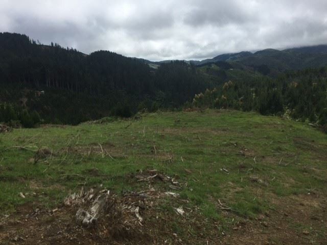  at Lot 12/669 Paekakariki Hill Road, Pauatahanui, Porirua, Wellington