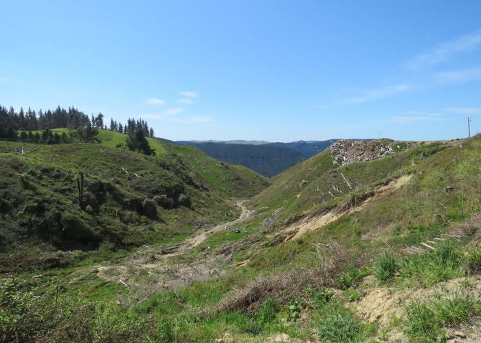  at 6 Kaiwaka Road, Onerahi, Whangarei