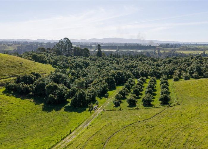  at 720 State Highway 33, Paengaroa, Western Bay Of Plenty, Bay Of Plenty