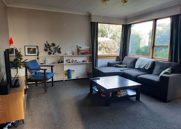  at 191 Evans Street, Opoho, Dunedin, Otago