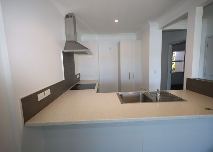  at 146 Spring Street, Tauranga, Tauranga