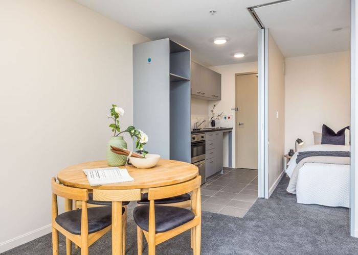  at 117/135 Hobson Street, City Centre, Auckland City, Auckland