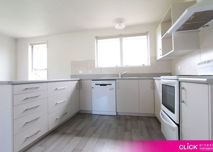  at 3 Bell Crescent, Concord, Dunedin