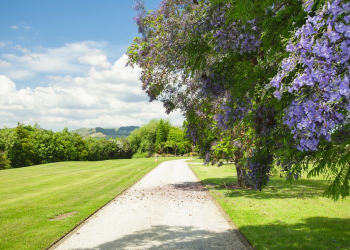  at 820 Matawai Road, Waerengaahika, Gisborne