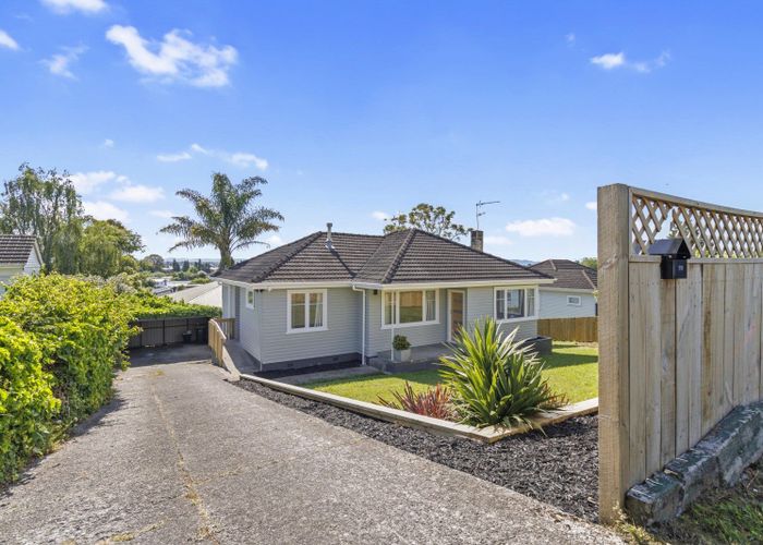  at 20 Alison Street, Hamilton Lake, Hamilton