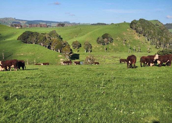  at 899 Te Akau Road, Te Akau, Waikato, Waikato