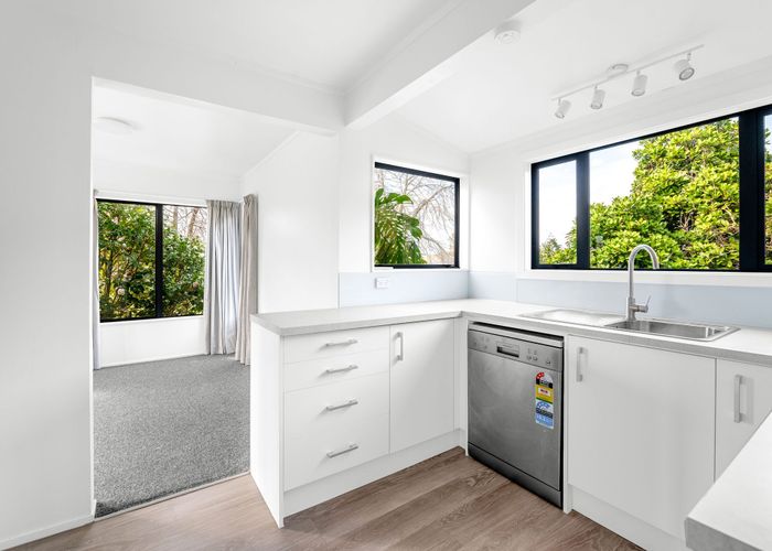  at 73A Pembroke Street, Hamilton Lake, Hamilton, Waikato