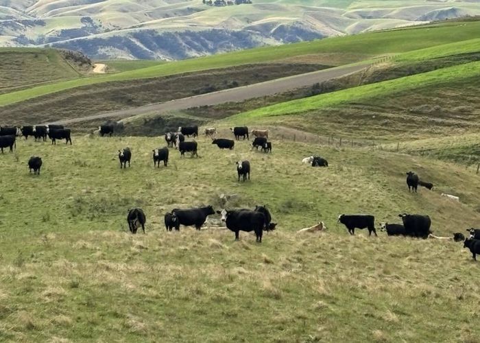  at 612 Oven Hill Road, Millers Flat, Central Otago, Otago