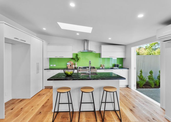  at 33 Alexander Street, Kingsland, Auckland City, Auckland