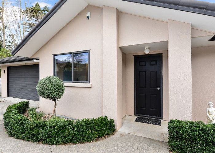  at 16 Palm Grove Drive, Western Heights, Hamilton