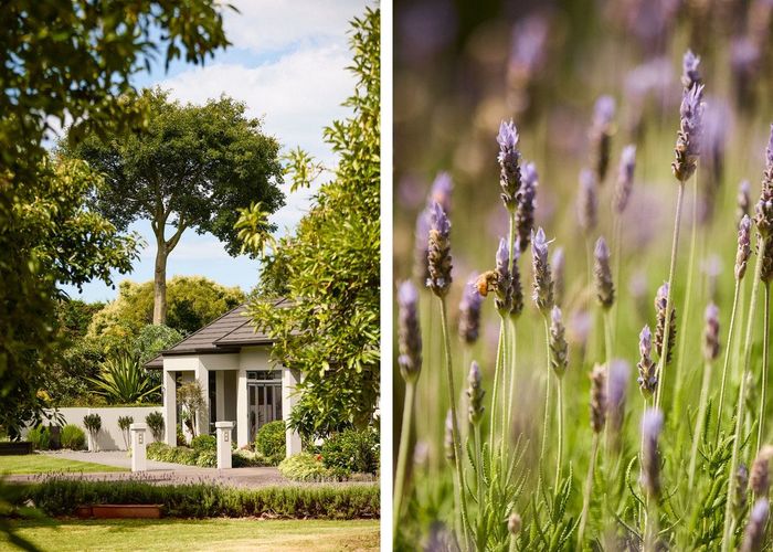  at 258E Beach Road, Katikati, Western Bay Of Plenty, Bay Of Plenty