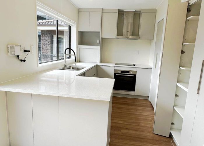  at 2 Nolan Road, Greenlane, Auckland City, Auckland