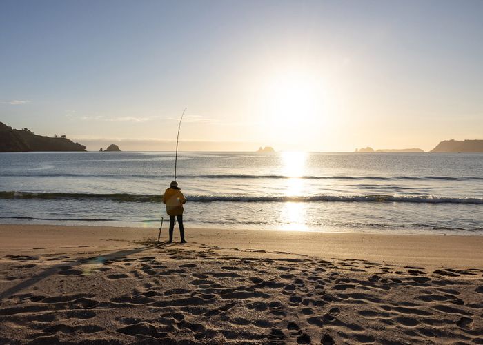  at Discovery Drive, Whitianga, Thames-Coromandel, Waikato