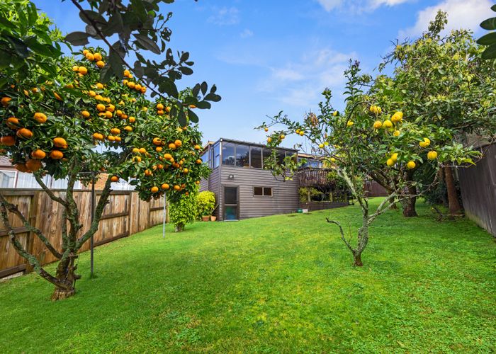  at 44A Whitaker Street, Otumoetai, Tauranga