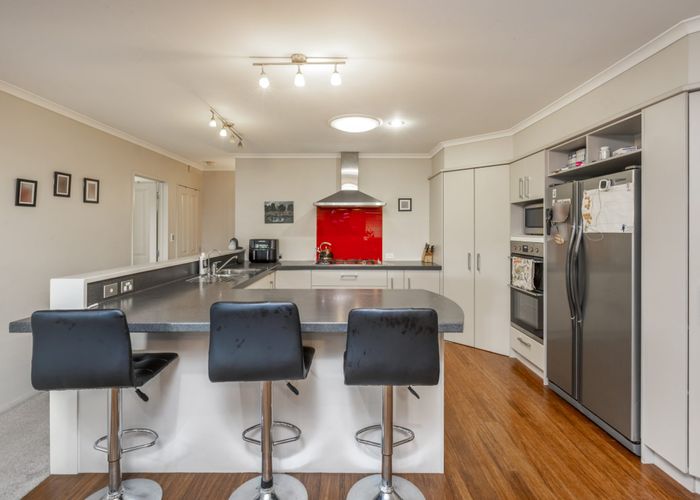  at 20 Henry Partington Place, Greenhithe, Auckland