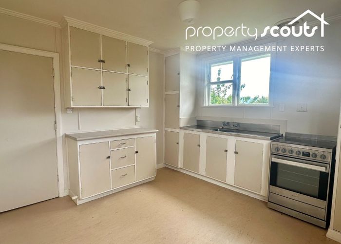  at 29 Cockerell Street, Brockville, Dunedin