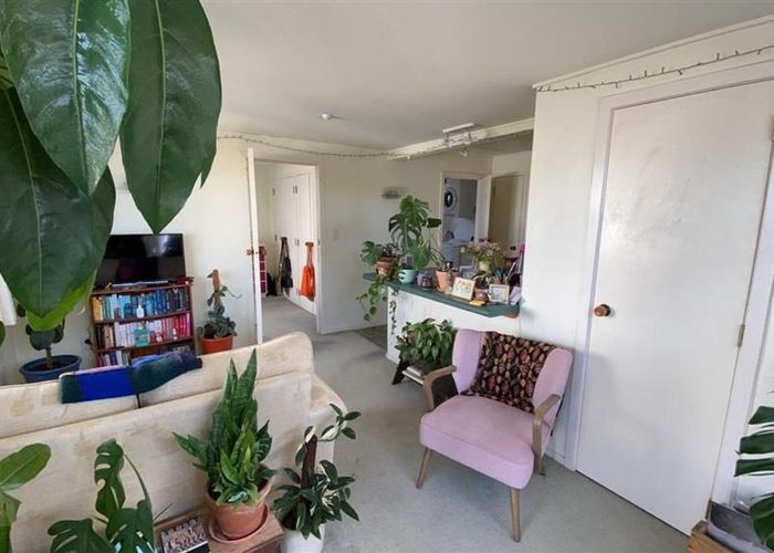  at 37a Colombo Street, Newtown, Wellington, Wellington