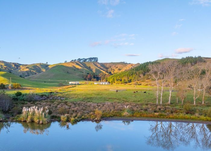  at 601 Waikare Road, Waerenga, Waikato, Waikato