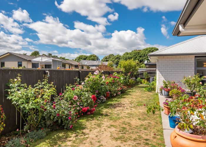  at 24 Barry Curtis Place, Levin, Horowhenua, Manawatu / Whanganui