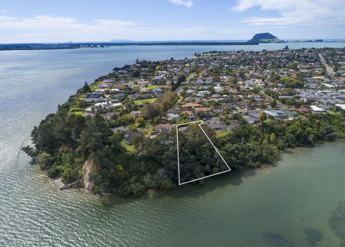  at 43 Rewarewa Place, Matua, Tauranga