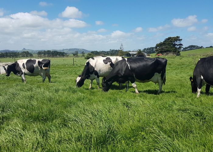  at 455 West Coast Road, Te Kopuru, Kaipara, Northland