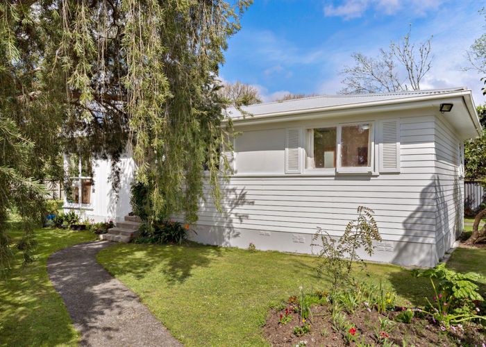  at 20 Pinedale Place, Henderson, Waitakere City, Auckland
