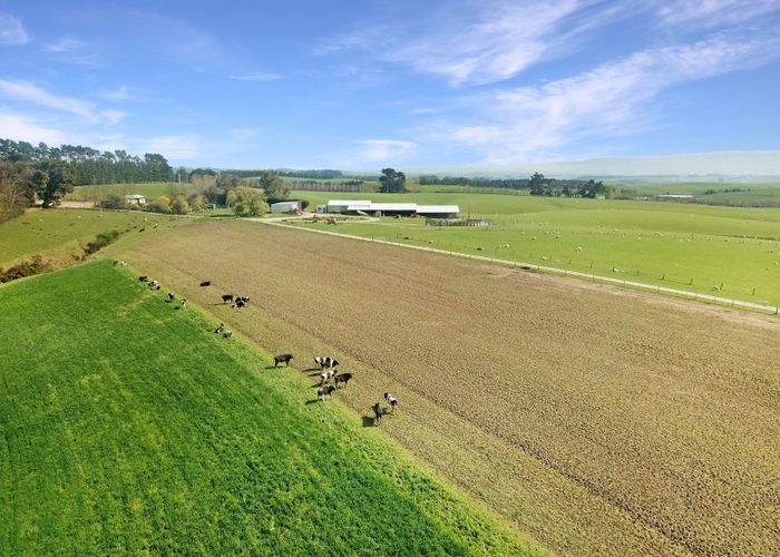  at 20 Carruthers Road, Tapanui, Clutha, Otago