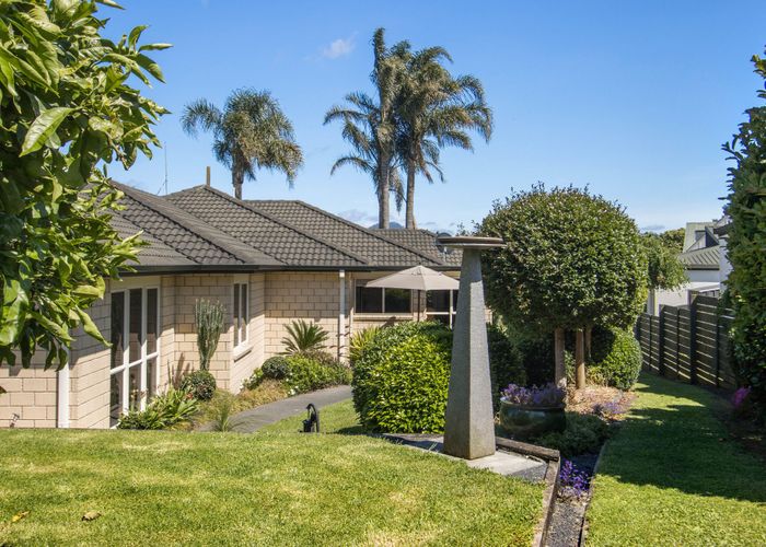  at 163 Park Road, Katikati, Katikati