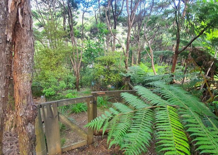  at 34 Schoolhouse Bay Road, Kawau Island, Hauraki Gulf Islands, Auckland