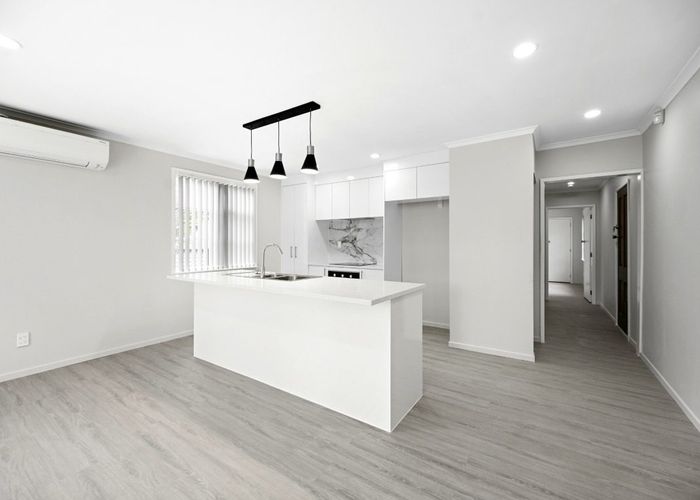  at 60 Alfred Street, Fairfield, Hamilton, Waikato