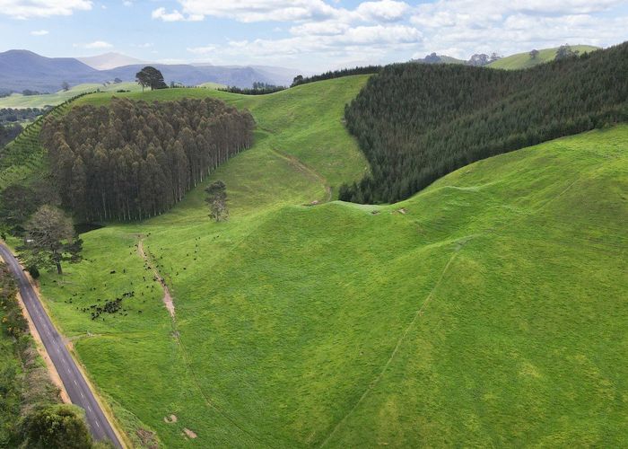  at 1448 Te Kopia Road, Waikite Valley, Rotorua, Bay Of Plenty