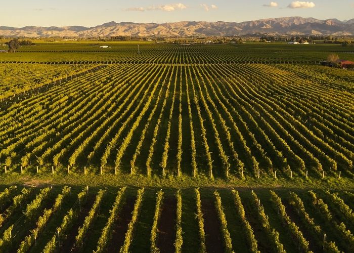  at 59 Jeffries Road, Rapaura, Blenheim