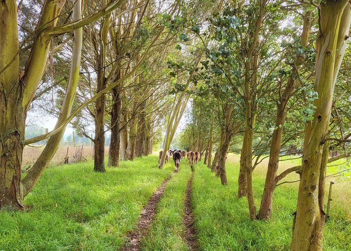  at 48 Gardiners Road, Starvation Hill, Oxford