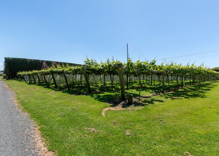  at 154B Wairoa Road, Te Puna, Western Bay Of Plenty, Bay Of Plenty