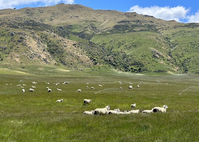  at 386 Agnew Road, Oturehua, Central Otago, Otago