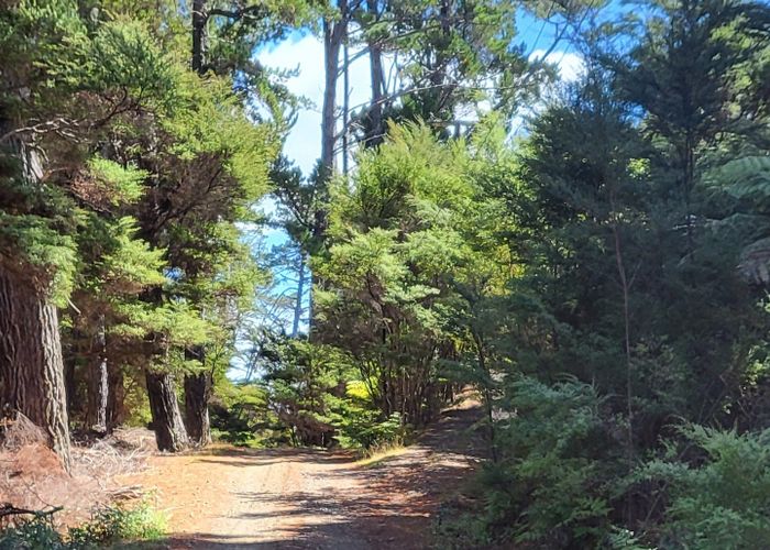  at 10 Wilson Avenue, Kawau Island, Hauraki Gulf Islands, Auckland