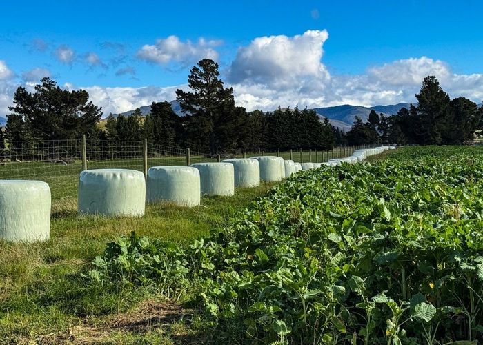  at 205B-219 Dunrobin Valley Road, Mossburn, Southland, Southland